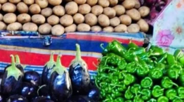 أسعار الخضار والفاكهة في المنوفية اليوم: الكوسة تصل إلى 10 جنيهات